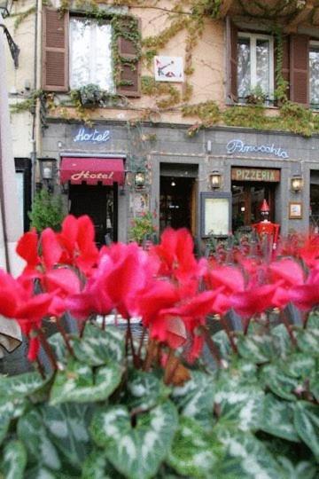 Hotel Pinocchio Frascati Exterior photo